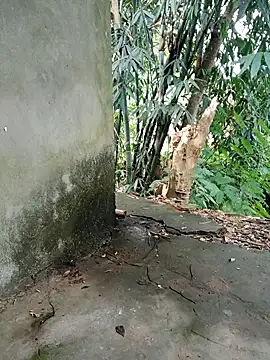 Bear bear0 online show from 11/08/25, 01:53