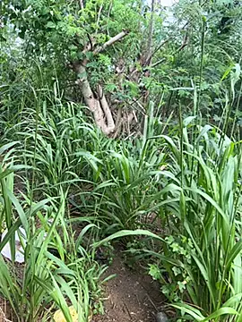 Snapshot of couplesexroom chatting on 10/21/25, 10:58 couplesexroom online show from 10/21/25, 10:58