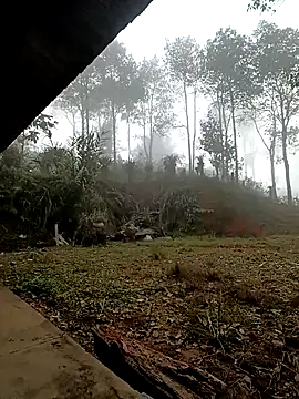 sowbibi online show from 12/15/25, 02:17