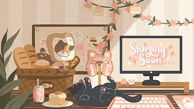 geekycastillo online show from 11/05/25, 03:42