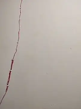 cutepussy356 online show from 12/05/25, 11:09