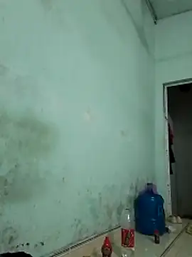  LAN  online show from 10/31/25, 10:49