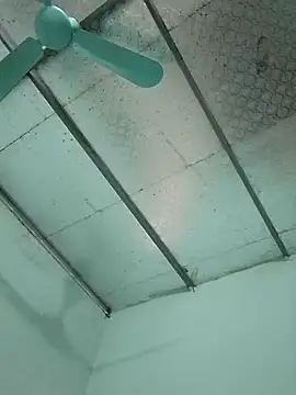  LAN  online show from 10/24/25, 01:37