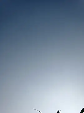 Menu x online show from 01/13/26, 08:07