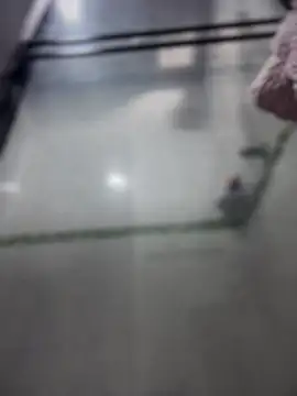 Violeet-Smith online show from 03/27/26, 02:51