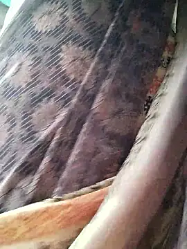 Ankitahot1993 online show from 01/12/26, 01:56