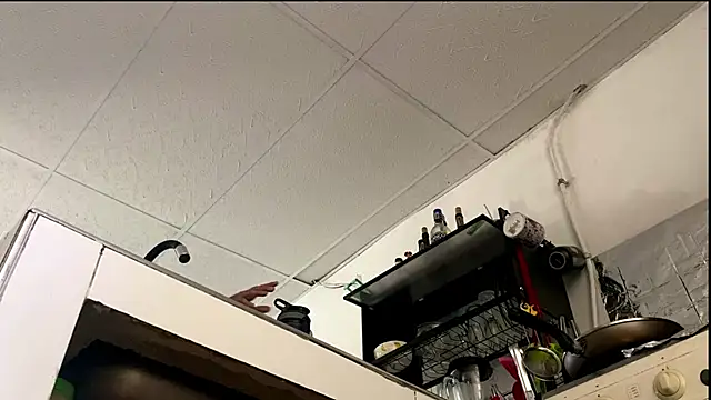 Abby Evanns1 online show from 01/08/26, 02:34