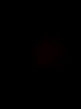 Snapshot of MFUE2020 chatting on 11/12/25, 11:58 MFUE2020 online show from 11/12/25, 11:58