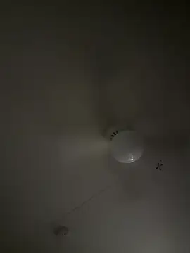 D13ON3L online show from 11/08/25, 08:07