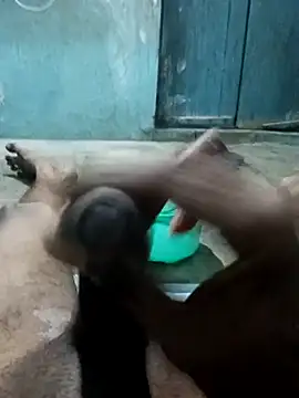 naveen 3222 online show from 11/25/25, 04:07