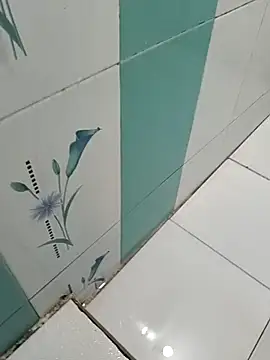 naveen 3222 online show from 10/29/25, 08:13