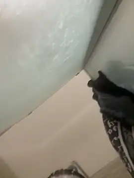 gatitalocahot online show from 04/13/26, 07:18