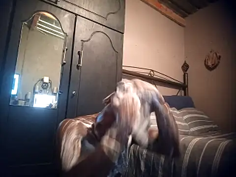 Pussylover911o online show from 11/23/25, 02:43