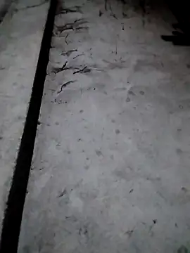 rickkis2k online show from 12/17/25, 09:42