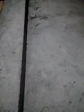 rickkis2k online show from 12/16/25, 10:14