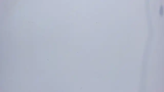 mirandaduboiss online show from 04/13/26, 05:06