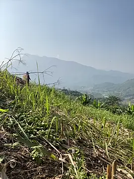 Irin jo online show from 11/23/25, 06:45