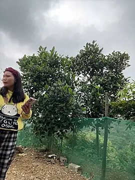 Irin jo online show from 02/10/26, 03:16