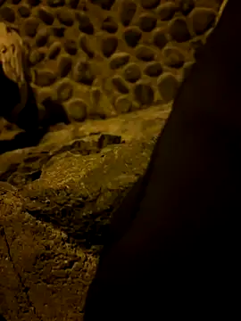 Rico1 1 online show from 11/14/25, 09:40