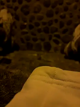 Rico1 1 online show from 11/18/25, 10:45