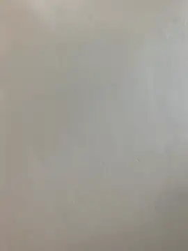 hairypussy254 online show from 04/19/26, 06:36