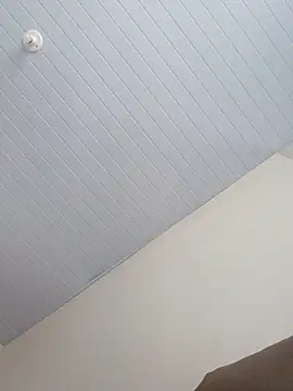 Snapshot of Morenodotado0 chatting on 02/24/26, 03:35 Morenodotado0 online show from 02/24/26, 03:35