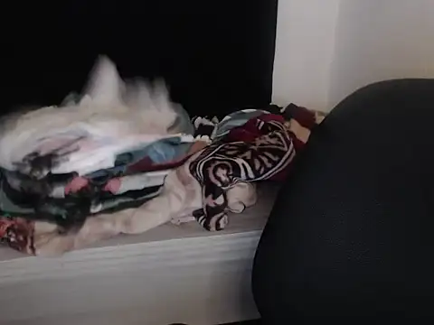 Negritatata online show from 11/28/25, 11:10