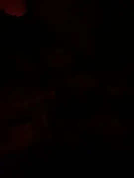 llllllllIIIll online show from 03/09/26, 08:18