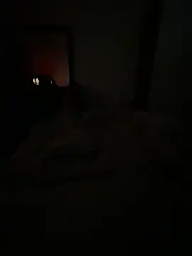 llllllllIIIll online show from 02/17/26, 04:43