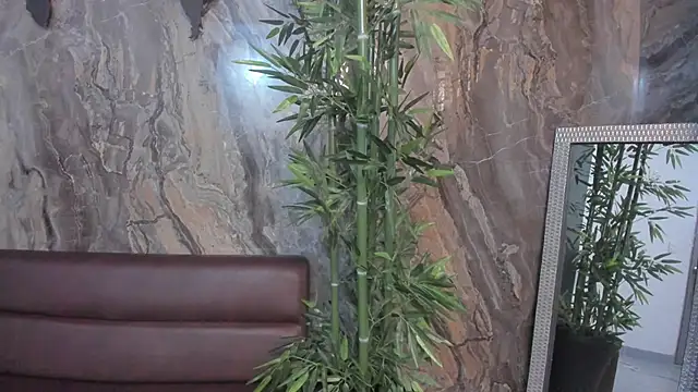 sydney miller  online show from 11/13/25, 11:30