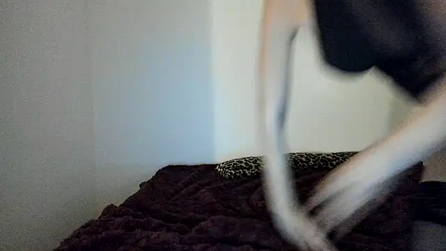 Blueskynicci online show from 11/18/25, 04:54