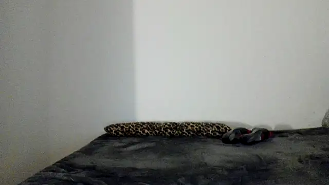 Blueskynicci online show from 11/13/25, 06:56