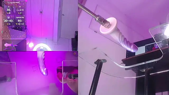 PurryBella online show from 02/21/26, 09:06