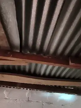 Catalina Bairon online show from 11/27/25, 06:08