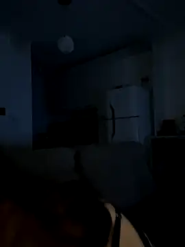 Snapshot of dorneles20 chatting on 11/29/25, 03:28 dorneles20 online show from 11/29/25, 03:28