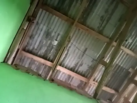 juniordotado87 online show from 01/10/26, 11:49