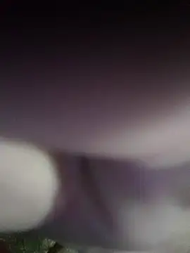 Morbosnif online show from 11/02/25, 06:29