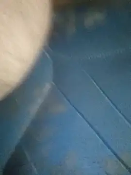 Morbosnif online show from 11/04/25, 02:37