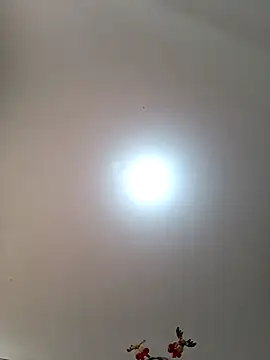 Snapshot of Lunatemptress4 chatting on 12/01/25, 01:23 Lunatemptress4 online show from 12/01/25, 01:23