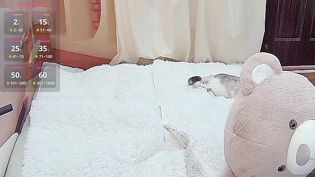 Dinan-y online show from 01/13/26, 01:37