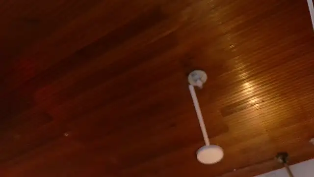 melissa  dolce online show from 03/23/26, 03:28