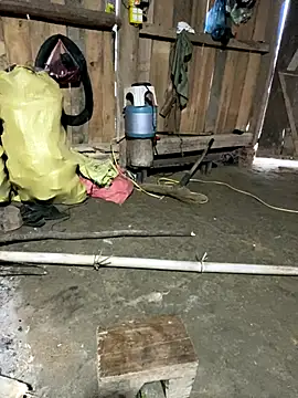 nachi-baby online show from 12/21/25, 10:06