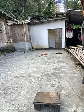 nachi-baby online show from 12/15/25, 08:42