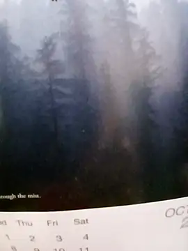 Snapshot of Kolkatacock06 chatting on 10/26/25, 06:08 Kolkatacock06 online show from 10/26/25, 06:08
