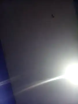 HSexy Men00 online show from 11/26/25, 08:58