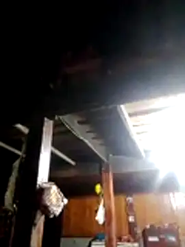 TRIEUTRIEU20 online show from 03/22/26, 10:44