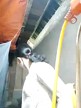 Snapshot of TRIEUTRIEU20 chatting on 10/28/25, 01:39 TRIEUTRIEU20 online show from 10/28/25, 01:39