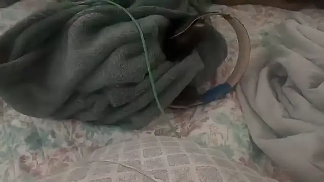 Snapshot of goonwatchin chatting on 10/23/25, 02:27 goonwatchin online show from 10/23/25, 02:27