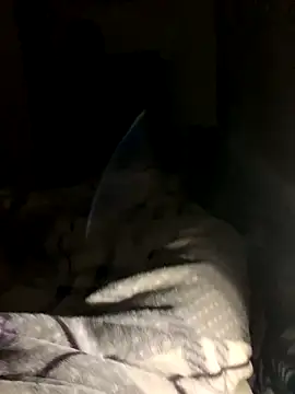 Snapshot of bfelipedasilva chatting on 10/23/25, 11:58 bfelipedasilva online show from 10/23/25, 11:58