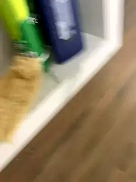 bfelipedasilva online show from 11/23/25, 01:15